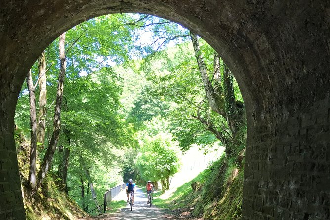 The Train Track Trail Mountain Bike Ride - Private experience - The former iron railroad: why this ride feels different