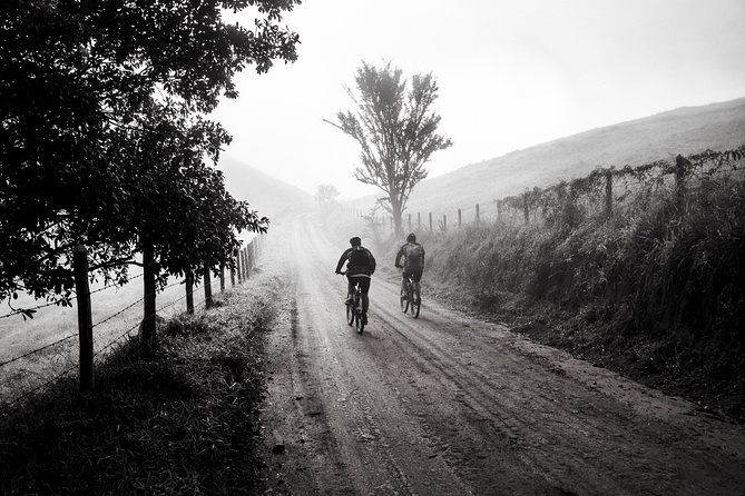 The Train Track Trail Mountain Bike Ride - Private experience - Tunnels, shade, and a riverside finish you’ll actually remember
