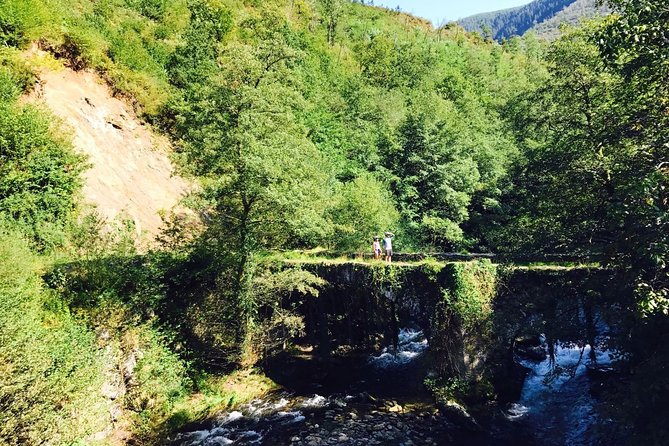 The Train Track Trail Mountain Bike Ride - Private experience - San Sebastián value: why $276.67 can make sense
