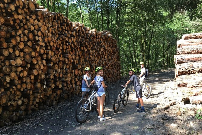 The Train Track Trail Mountain Bike Ride - Private experience - A 4.5-hour plan that adapts to you (not the other way around)